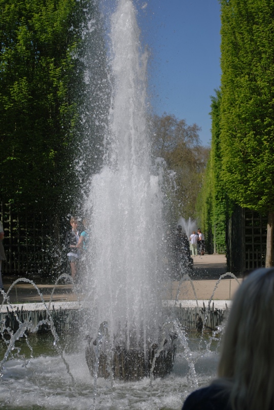 The Gardens at Versailles 5