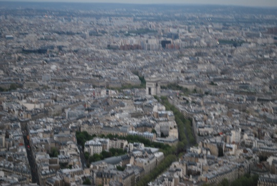 Paris from the Eiffel Tower 5