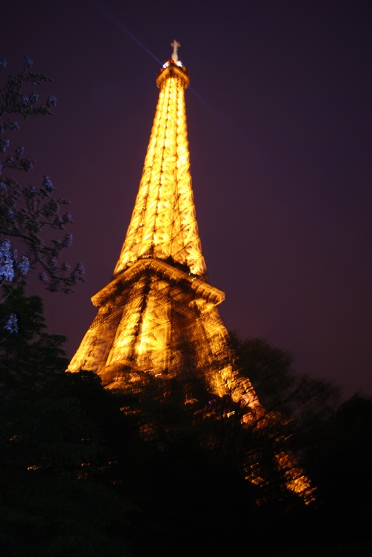 Eiffel Tower 6